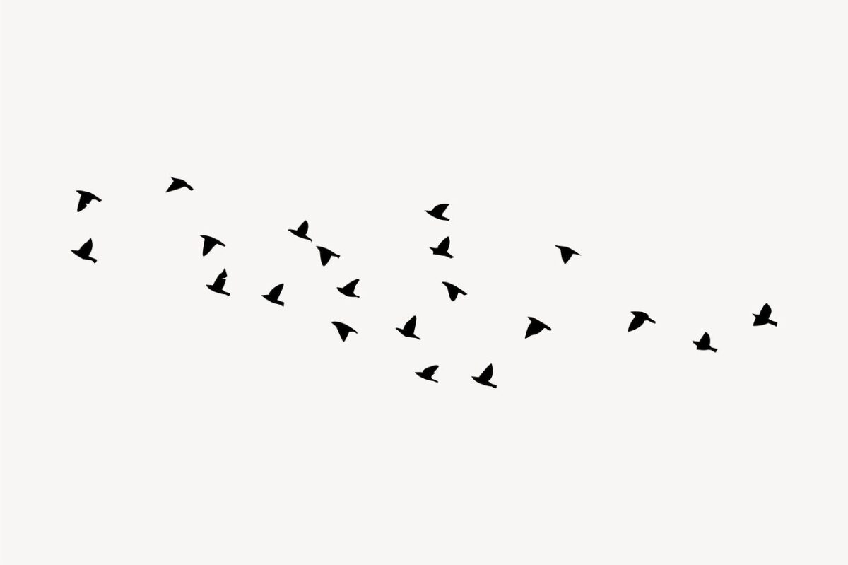 Birds flying silhouette clipart, animal