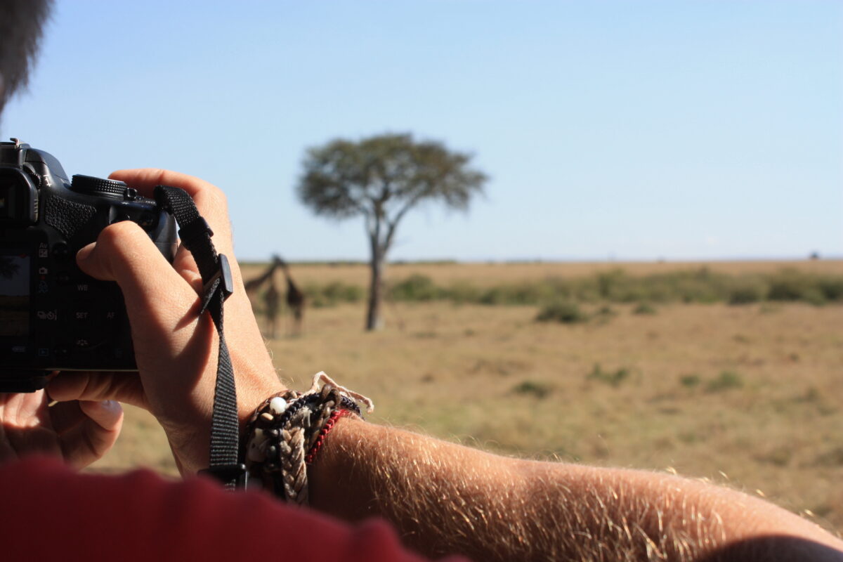 Haciendo una foto a tres jirafas bajo un baobab