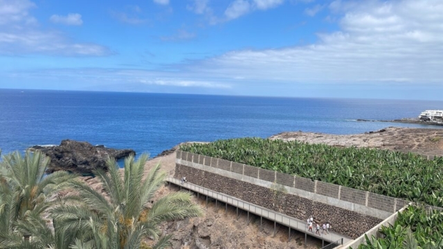 Cielo, mar y plataneras